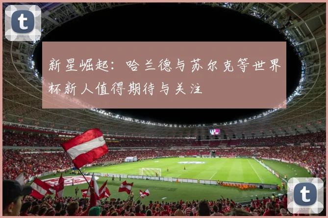 新星崛起：哈兰德与苏尔克等世界杯新人值得期待与关注