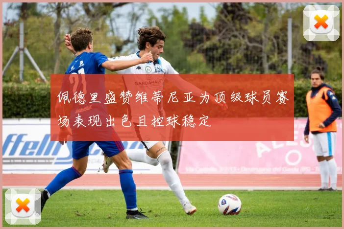 佩德里盛赞维蒂尼亚为顶级球员赛场表现出色且控球稳定