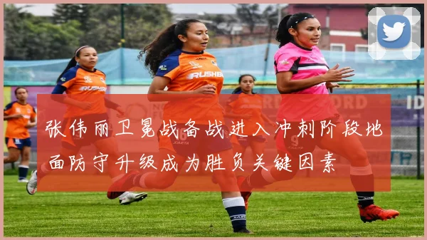 张伟丽卫冕战备战进入冲刺阶段地面防守升级成为胜负关键因素